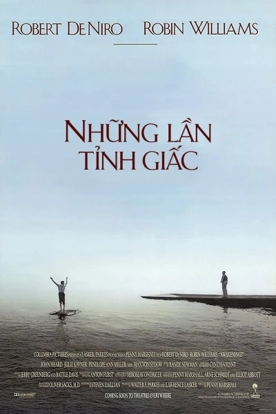 Những Lần Tỉnh Giấc