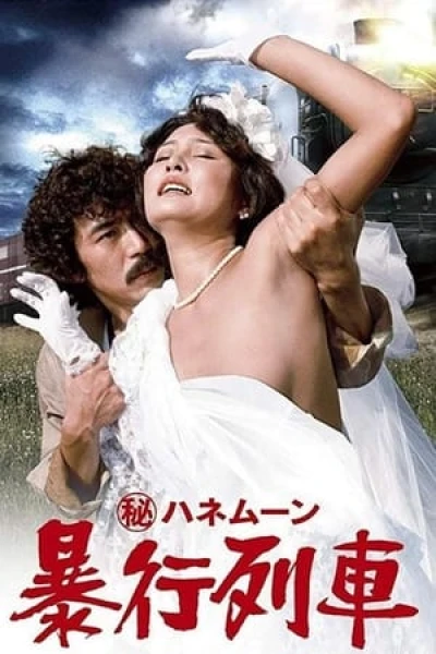 Tuần Trăng Mật Bí Mật: Chuyến Tàu Cưỡng Hiếp - Secret Honeymoon: Assault Train (1977)